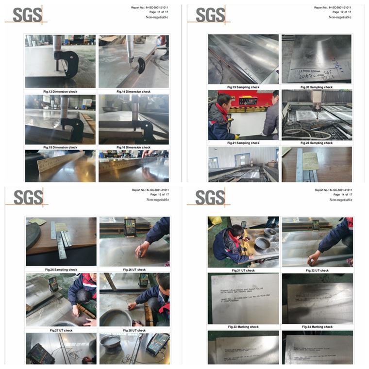 titanium plate--sgs