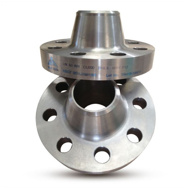 EN1092-1 Titanium Flange