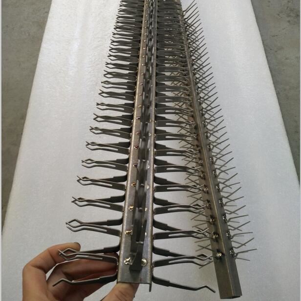 Estanterías de titanio