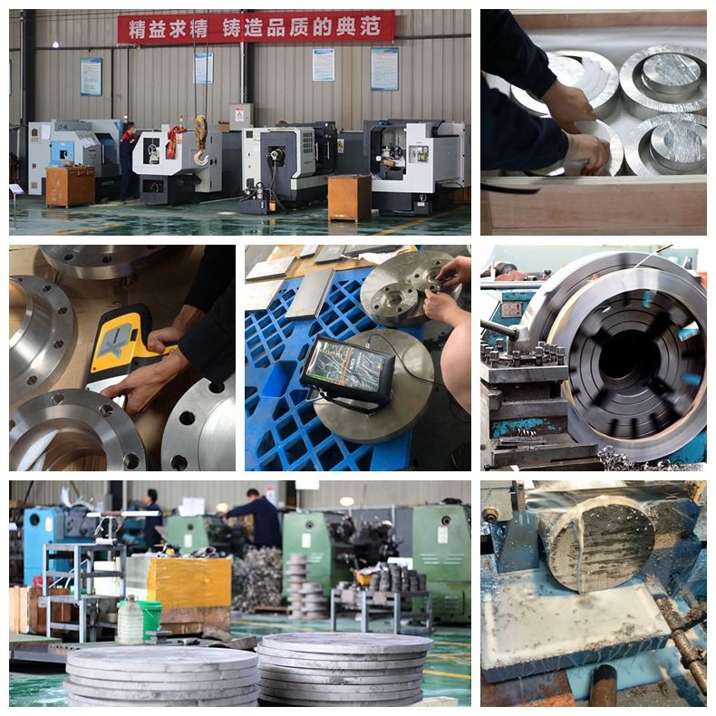 ni 200 nicke flange 23