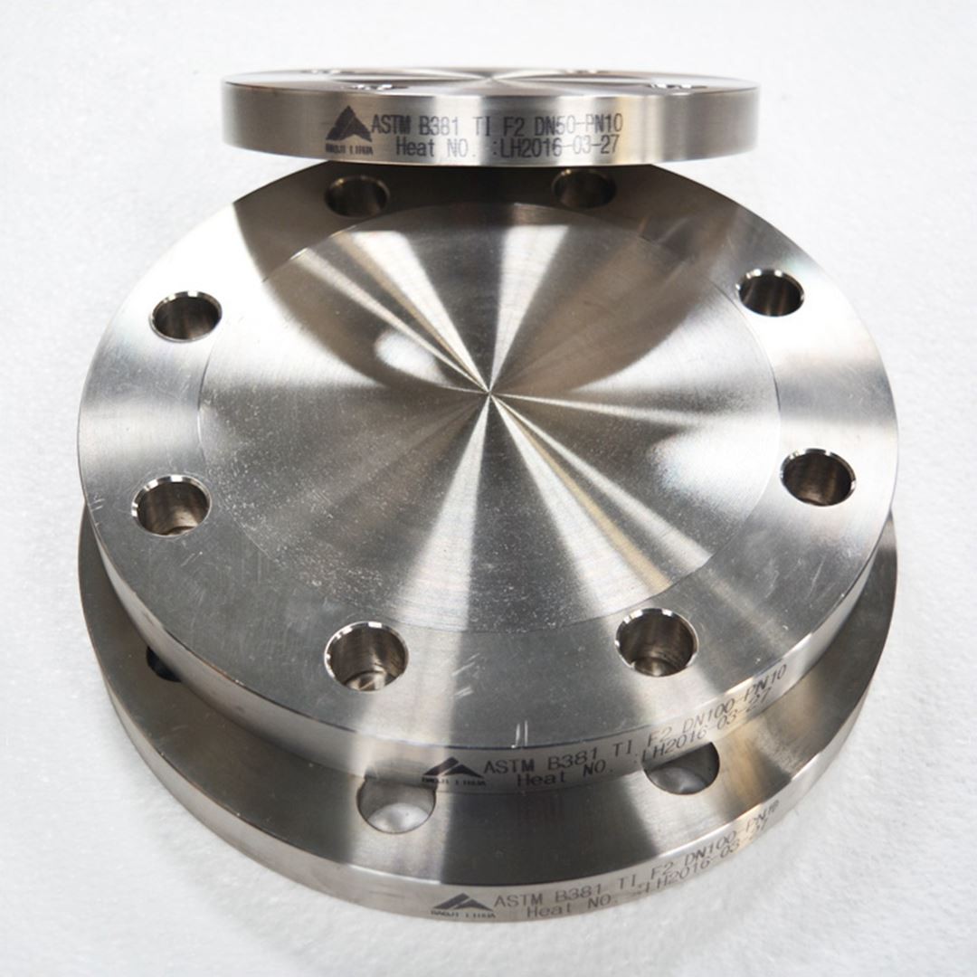titanium alloy flange (1)